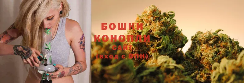 Марихуана SATIVA & INDICA  Кохма 